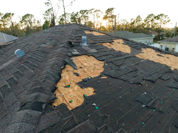 Best Roof Moss and Algae Removal  in Solana Beach, CA