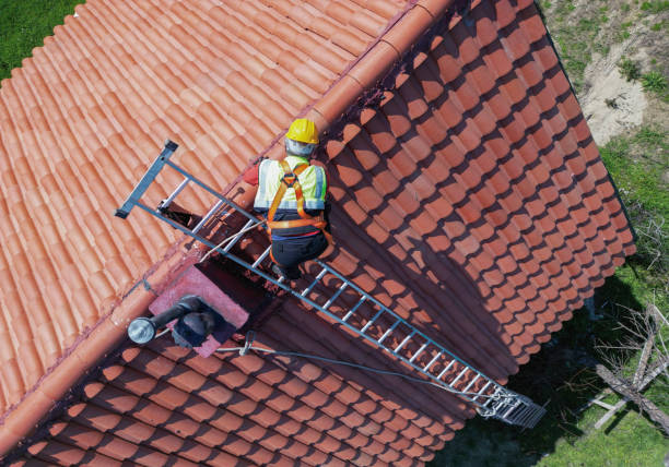 Best Roof Coating and Sealing  in Solana Beach, CA